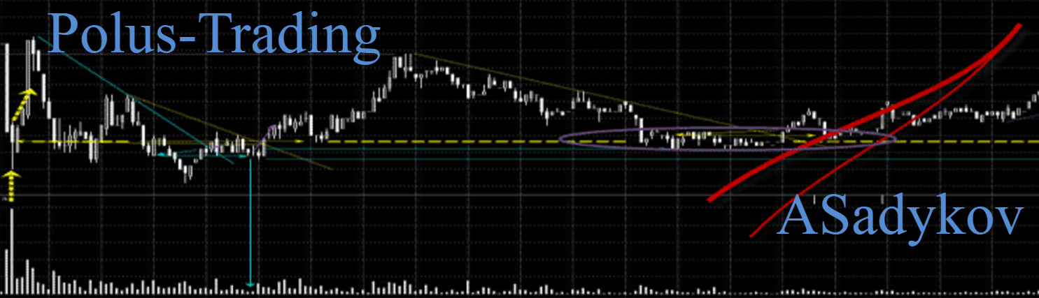 Первый курс Polus Trading - Анвар Садыков (2014)_0.png